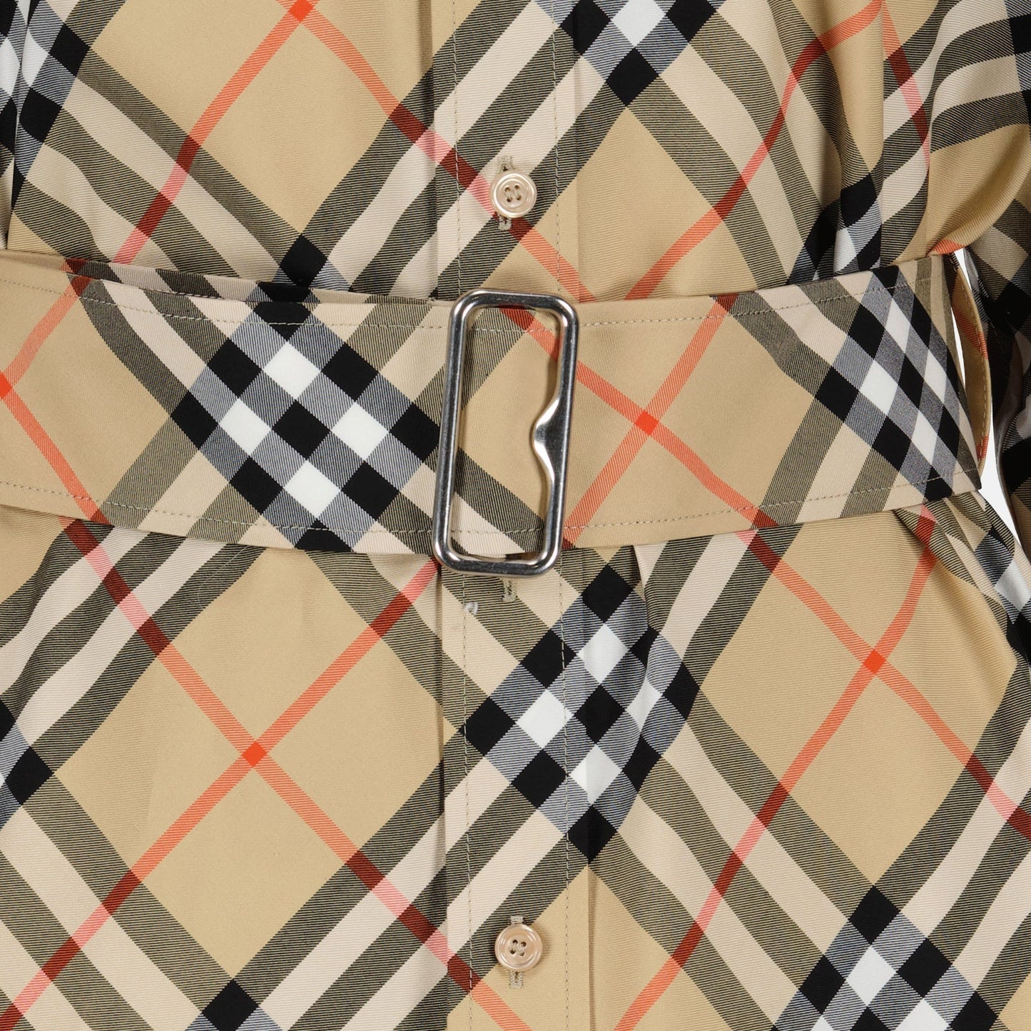 Check Print Belted Shirt Dress