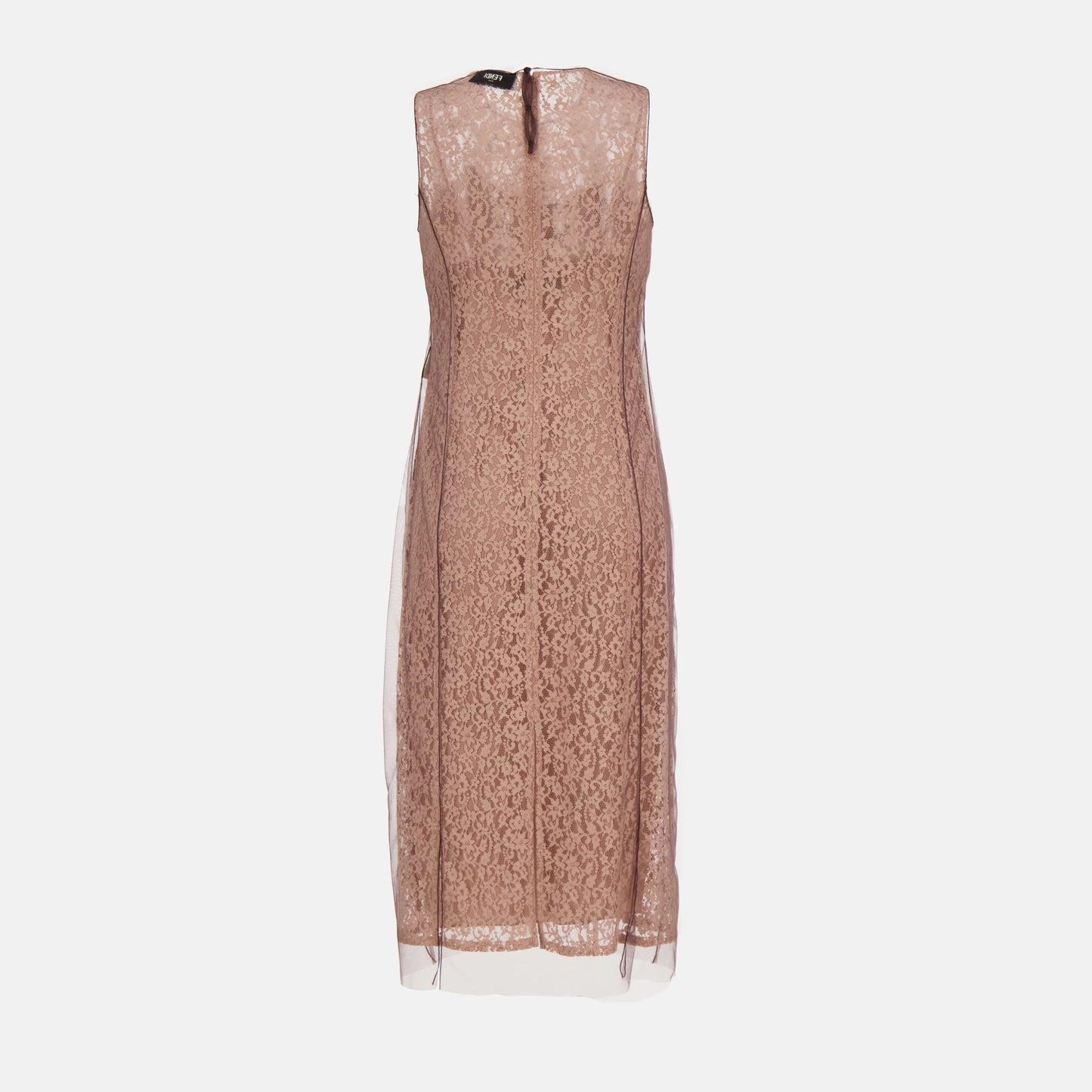Sheer Lace Overlay Midi Dress