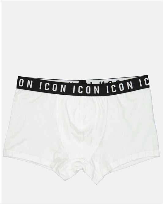 Boxer Icon