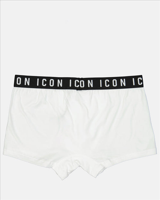 Boxer Icon