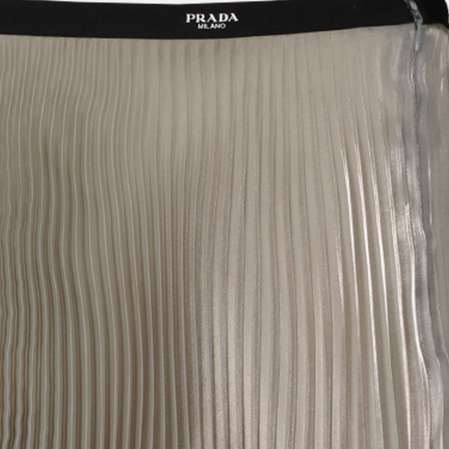 Pleated Skirt