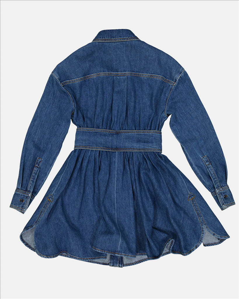 Structured Denim Fit-and-Flare Dress
