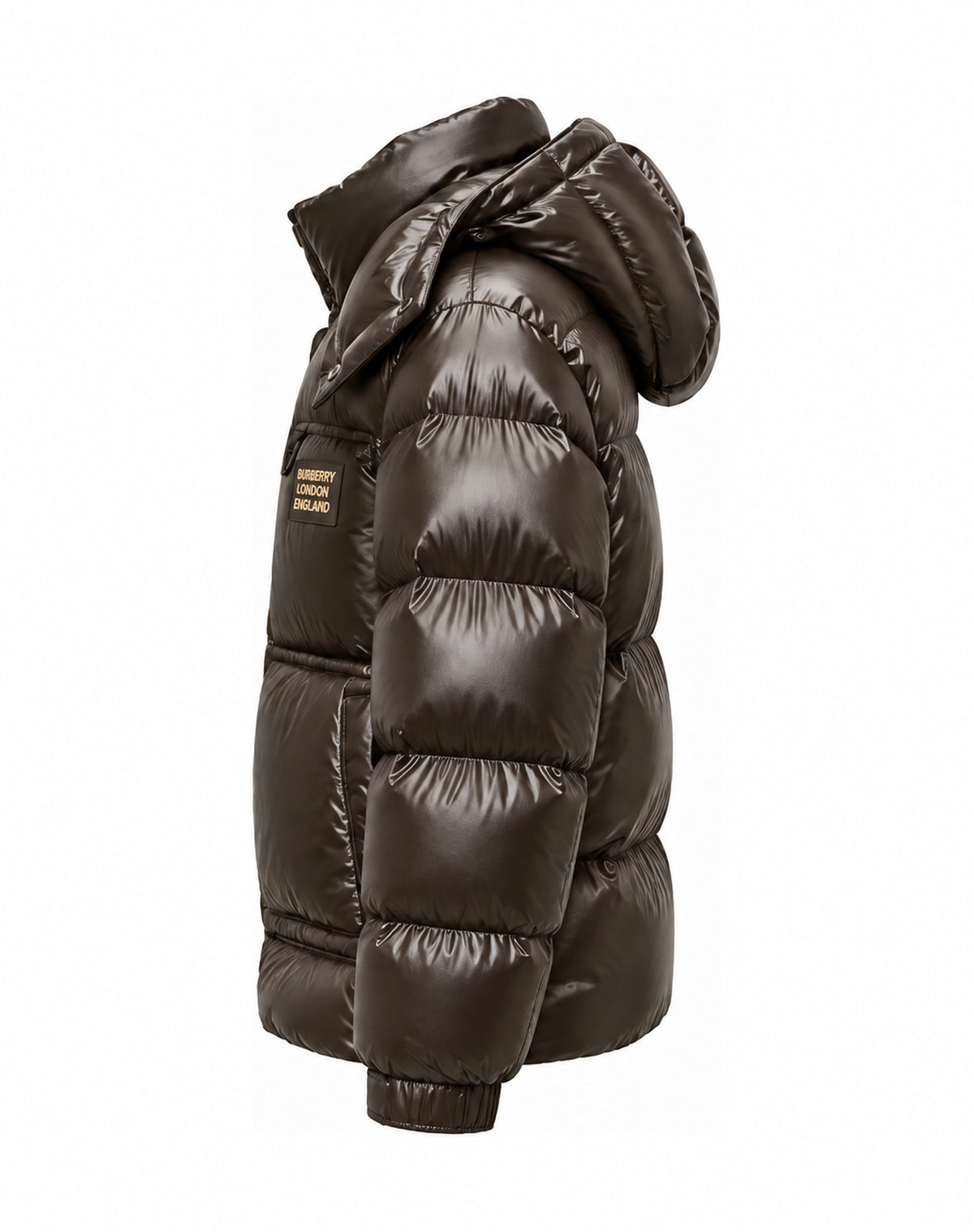 Hooded Puffer Jacket